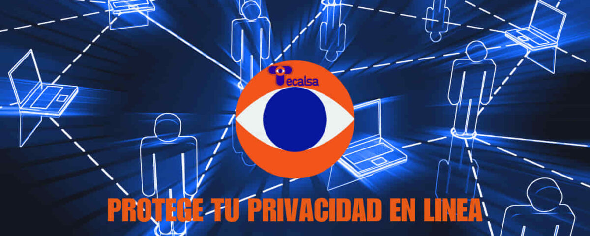 La seguridad en redes: Tipos, funciones y protección efectiva