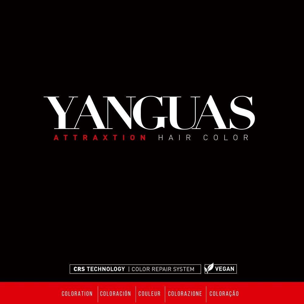 Colour chart — Attraxion Hair Color